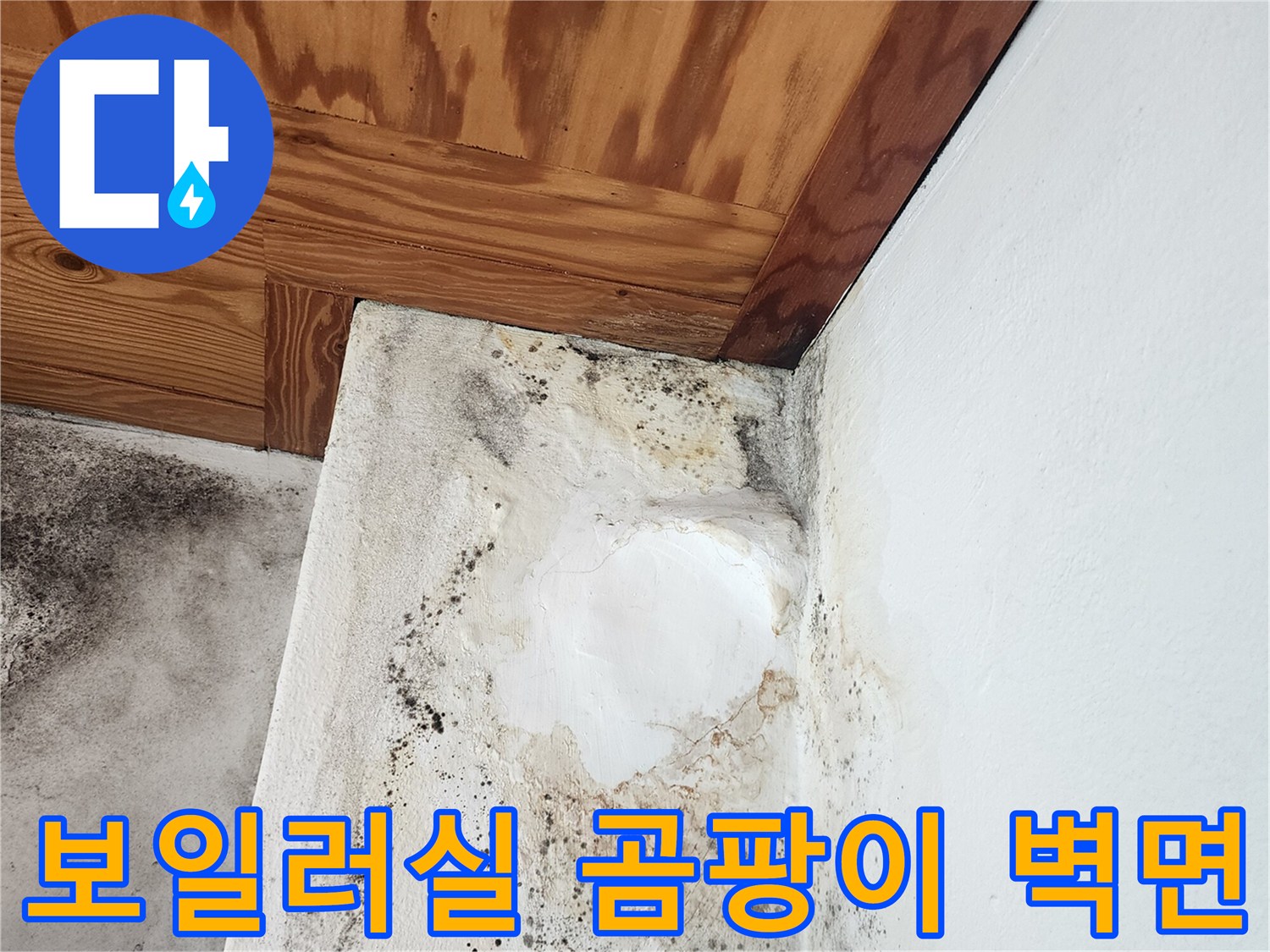 보일러실-벽면에-퍼진-검은-곰팡이와-젖은-천장-상태