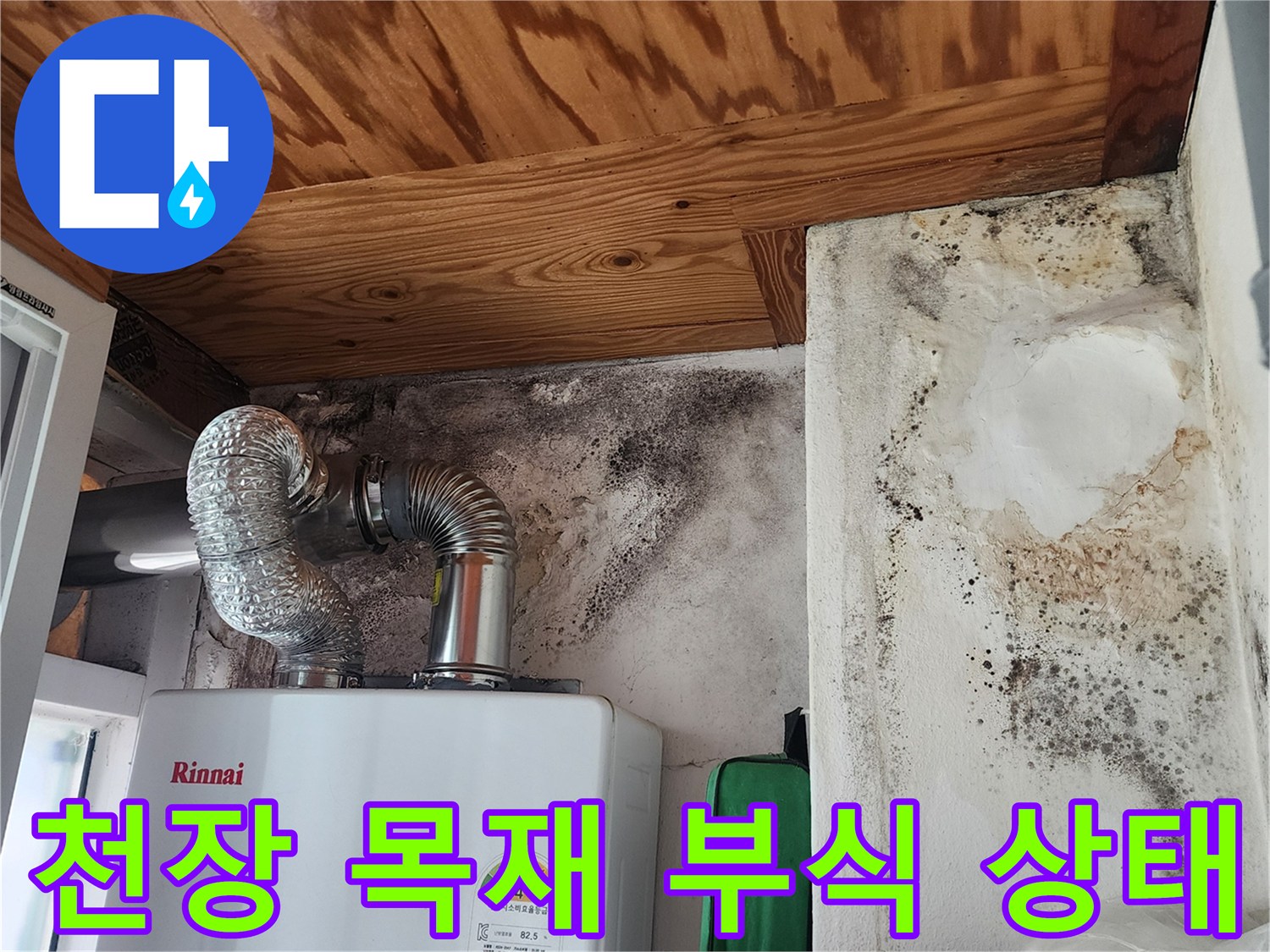 습기로 인해 변색된 천장 나무판과 곰팡이 핀 벽면