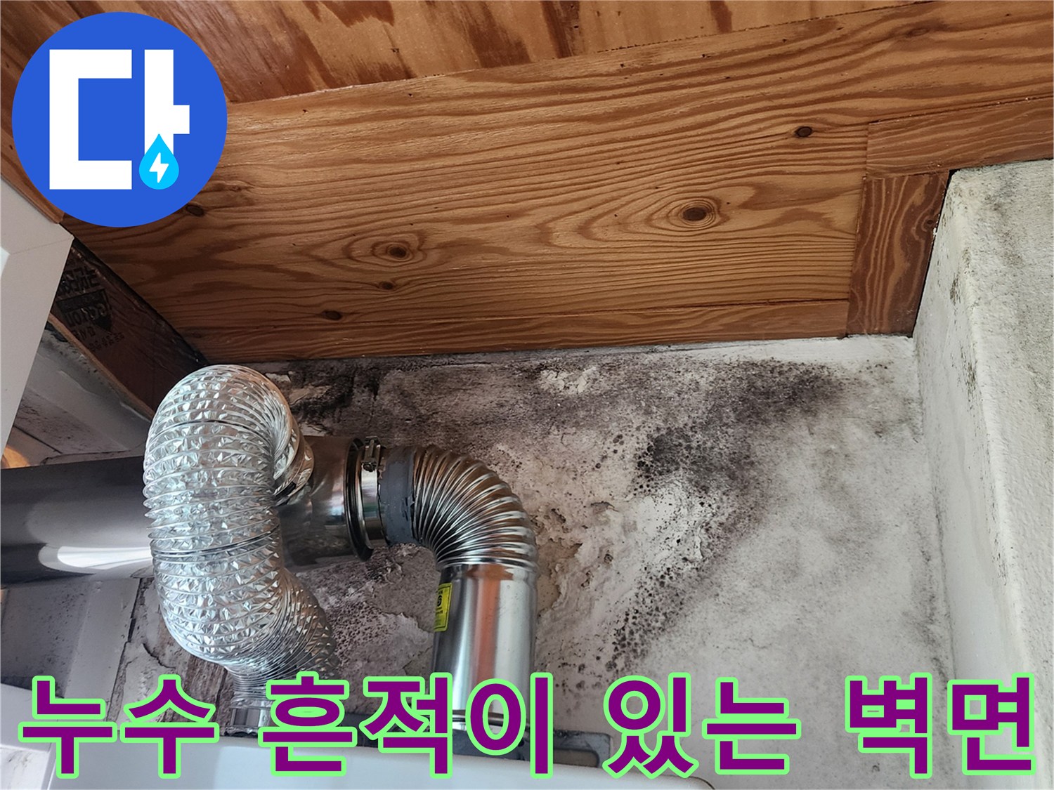 습기에 젖은-천장 목재와 곰팡이가 피어있는 보일러실 벽체