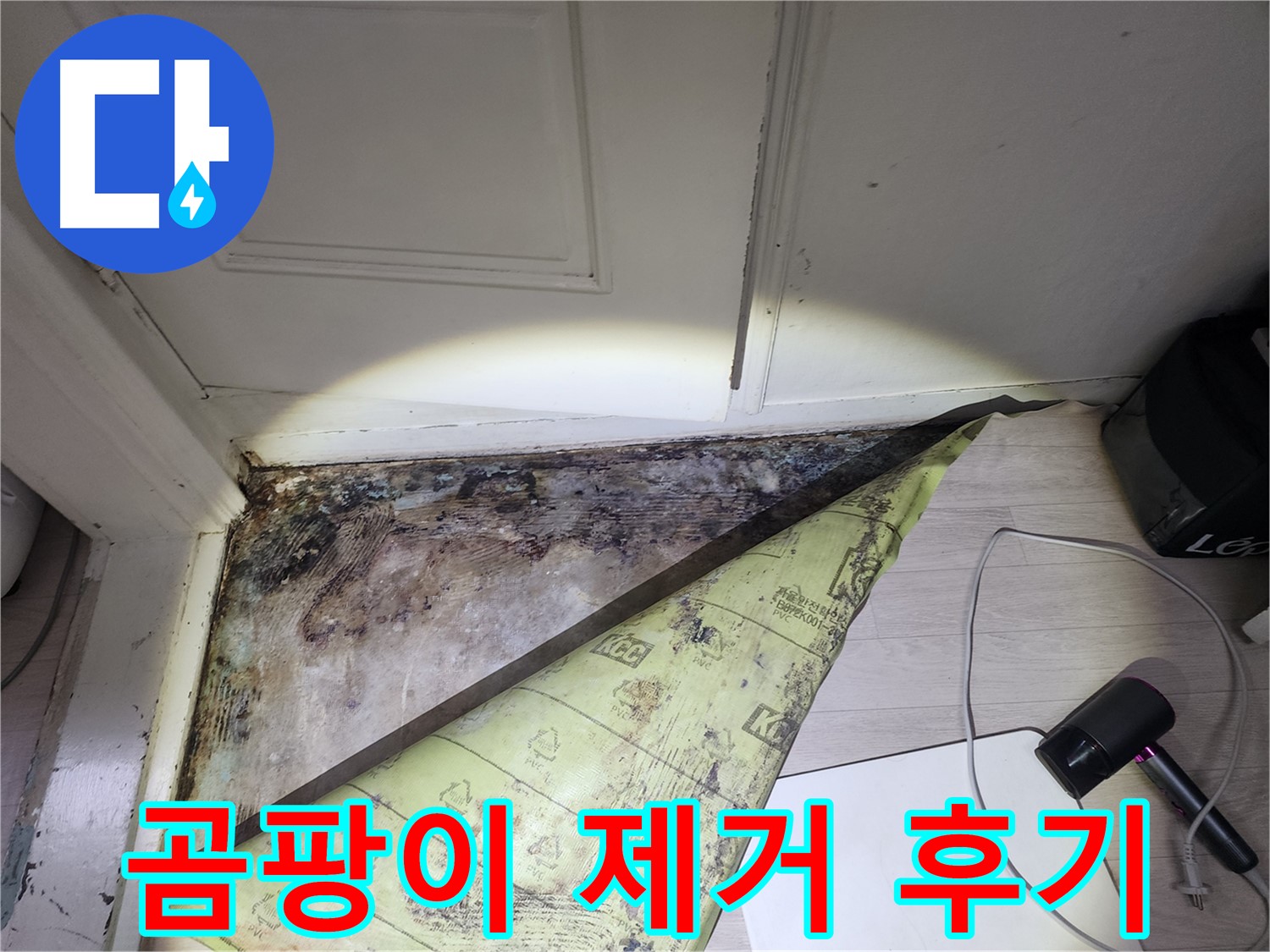 양재2동 현대빌라 누수 - 장판 밑 곰팡이 완벽 제거 및 방수 공사