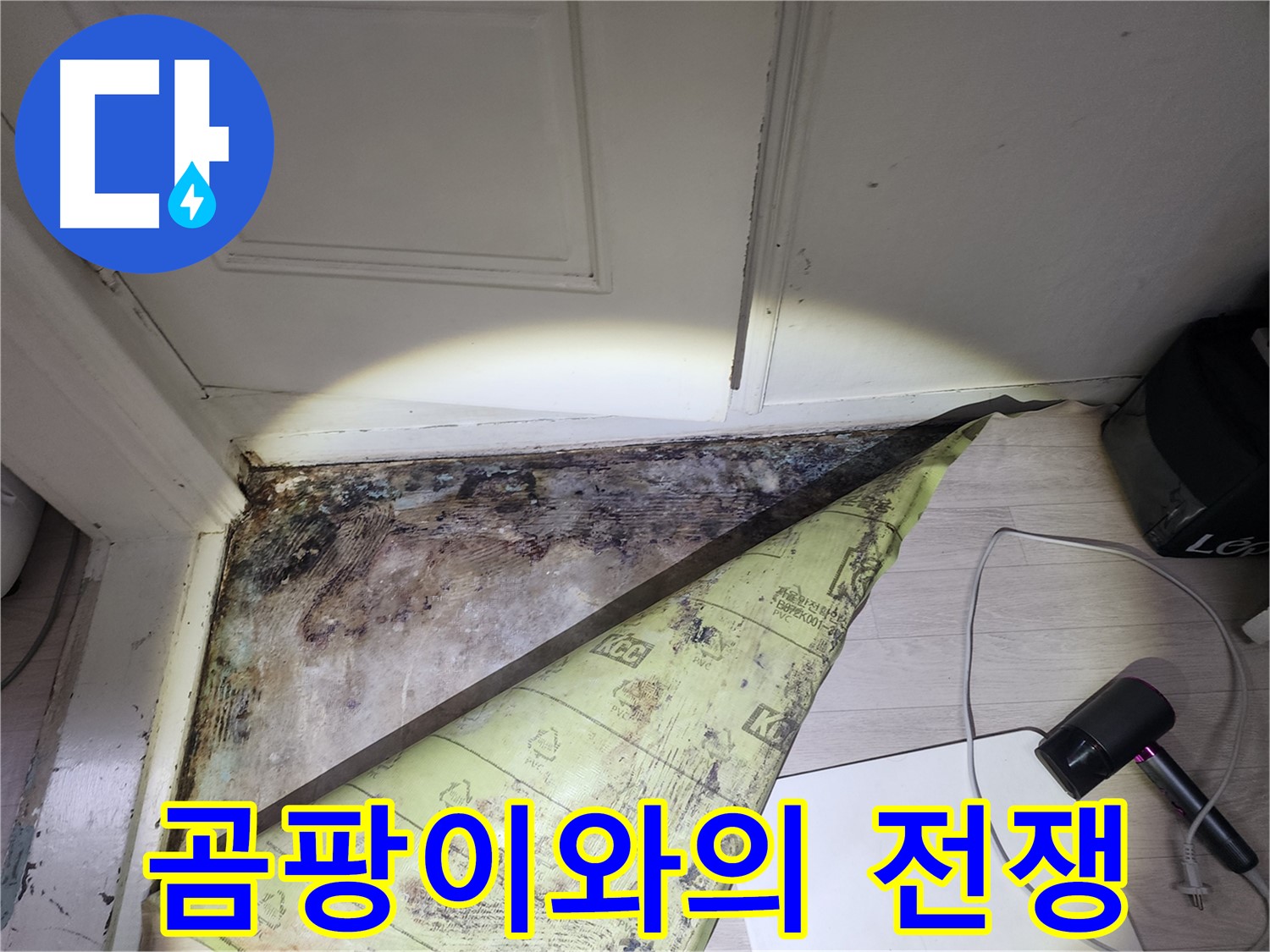 양재동 현대빌라 누수 - 곰팡이와의 전쟁, 완벽 승리