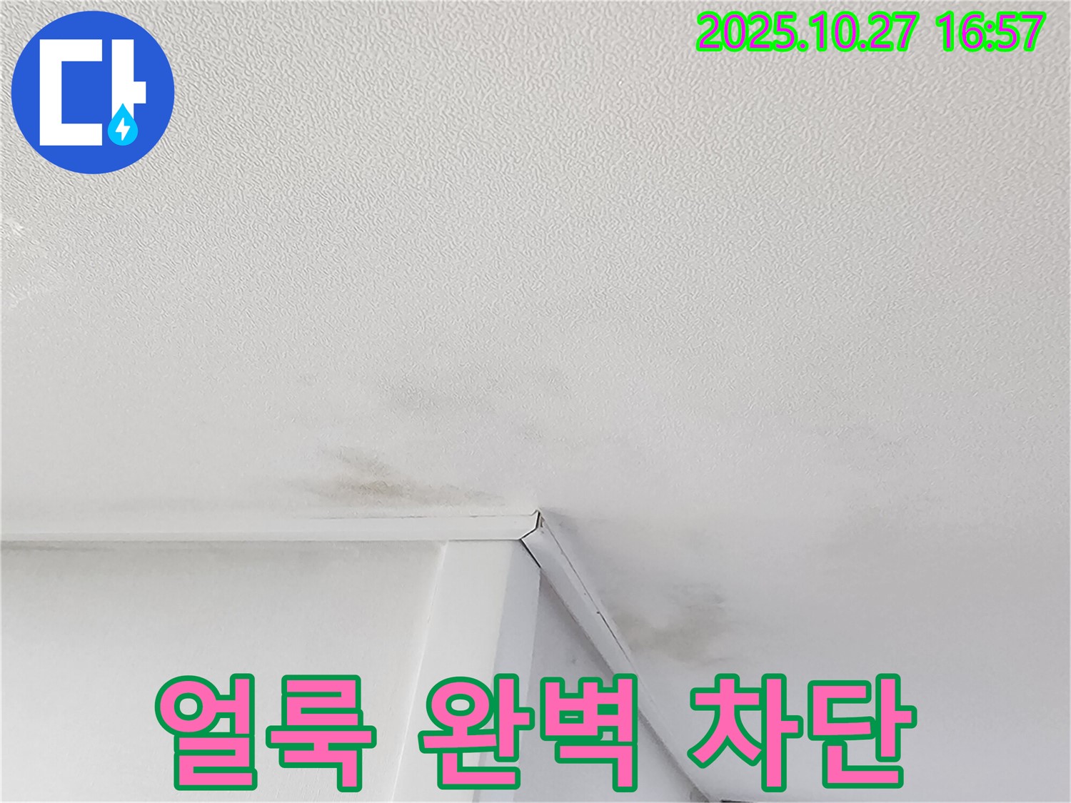 동작구 신대방동 누수 공사 - 천장 얼룩 완벽 차단 및 쾌적한 환경 조성