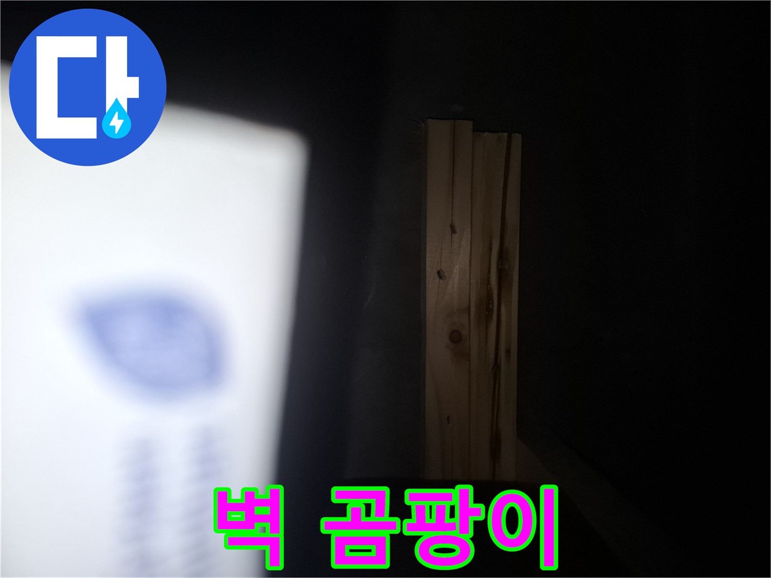 수원 팔달구 신풍동 누수 - 벽에 핀 곰팡이 - 누수 해결이 최우선입니다.
