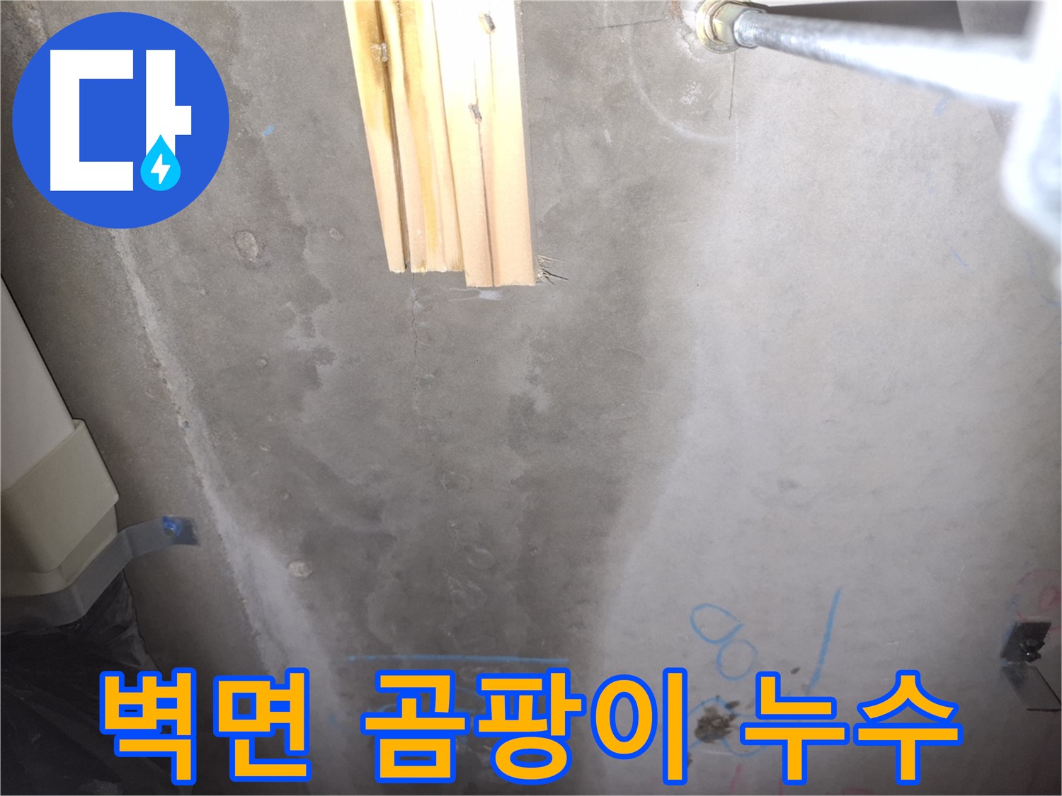 콘크리트 벽면 누수 - 곰팡이