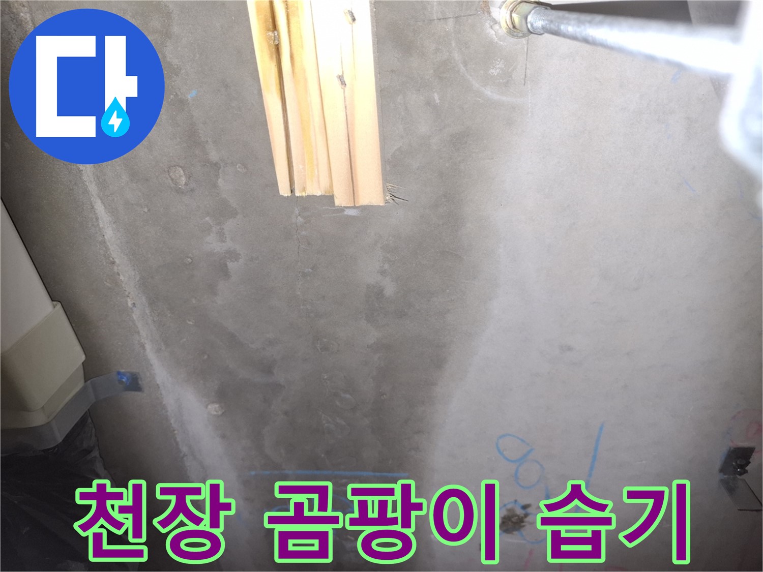 콘크리트 천장 누수 - 곰팡이와 습기
