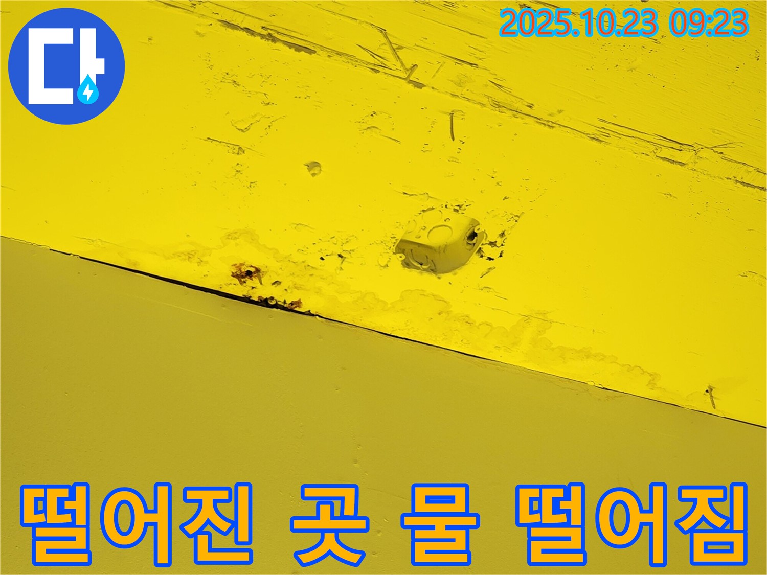 양주 도하리 주택 천장 누수 - 누수 지점과 떨어진 곳에서 물 떨어짐