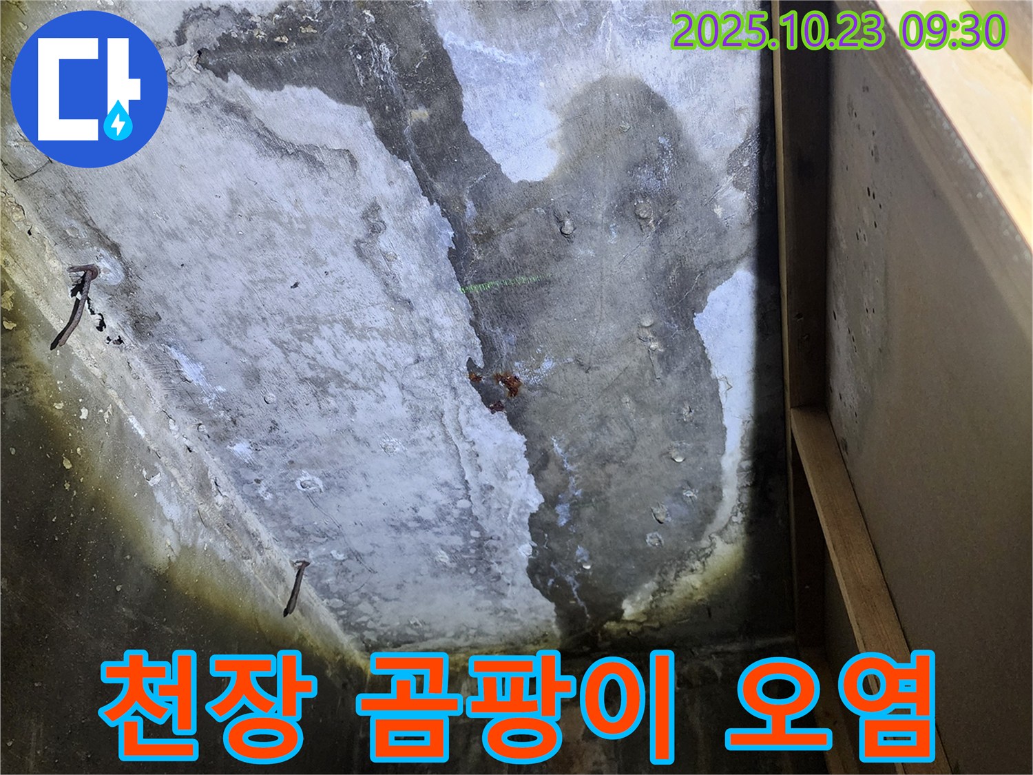 양주시 은현면 도하리 곰팡이 누수 - 심각한 천장 오염 상태 긴급 진단