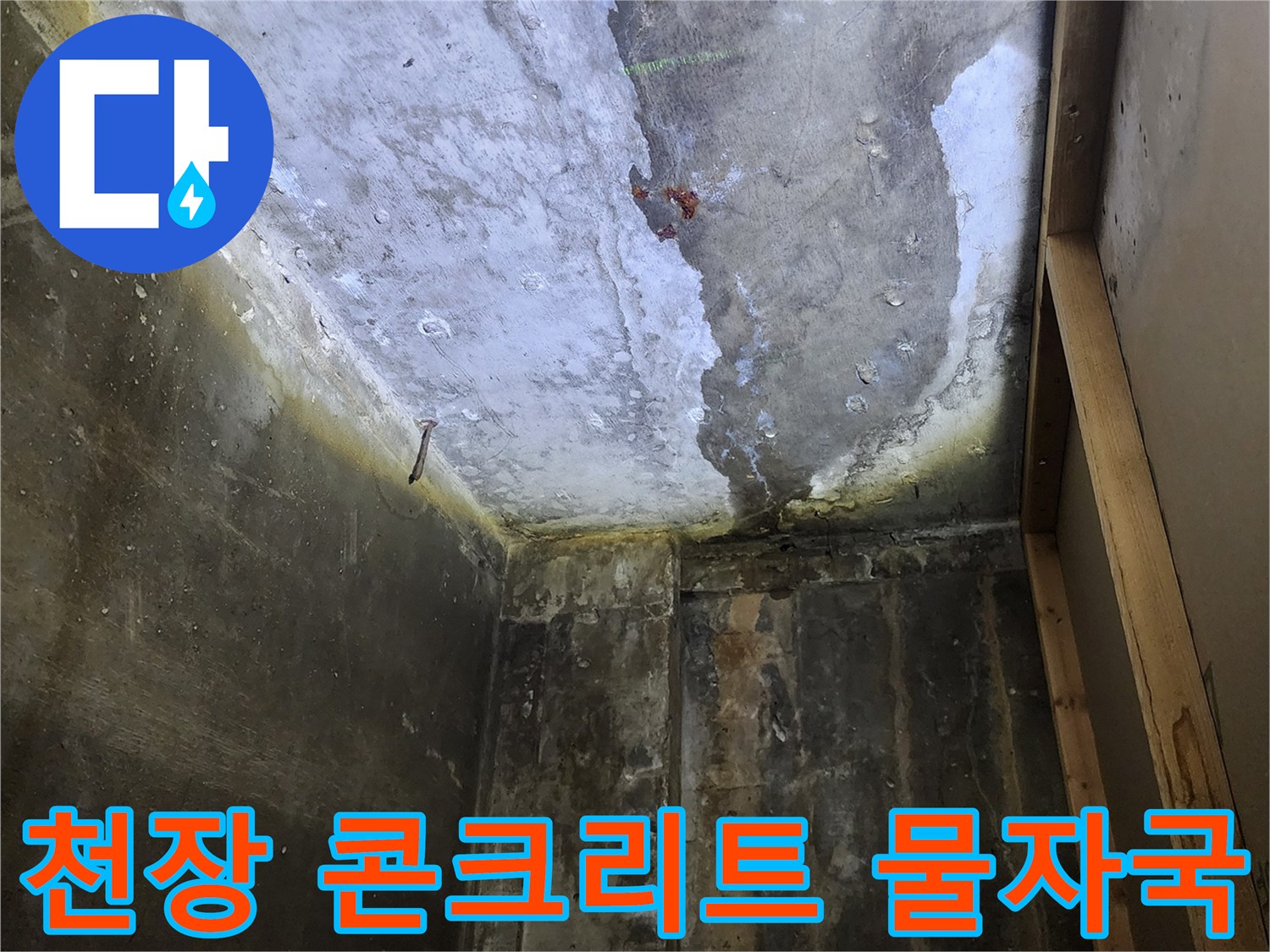 누수로-인해-젖어있는-콘크리트-천장부위
