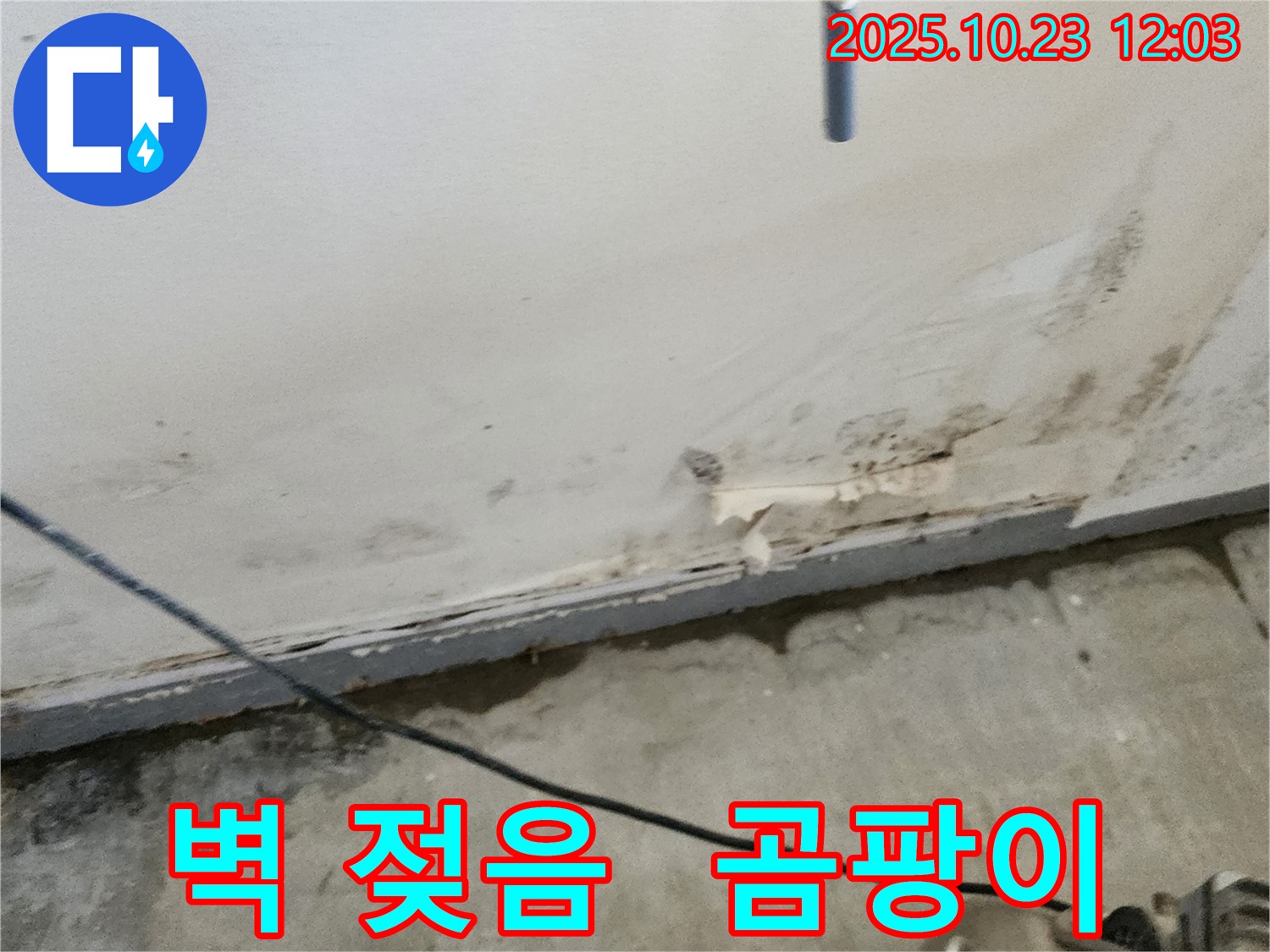벽 젖음과 곰팡이 - 누수로 인한 습기와 곰팡이 발생 상태를 보여줍니다.
