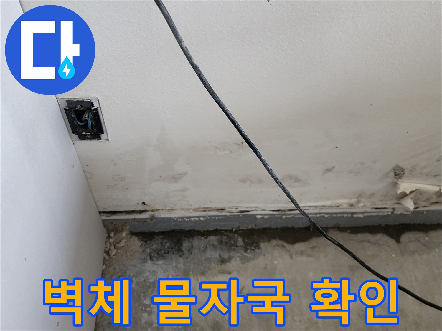 양주 하패리 현장-습기가 스며든 벽면 하단부의 모습