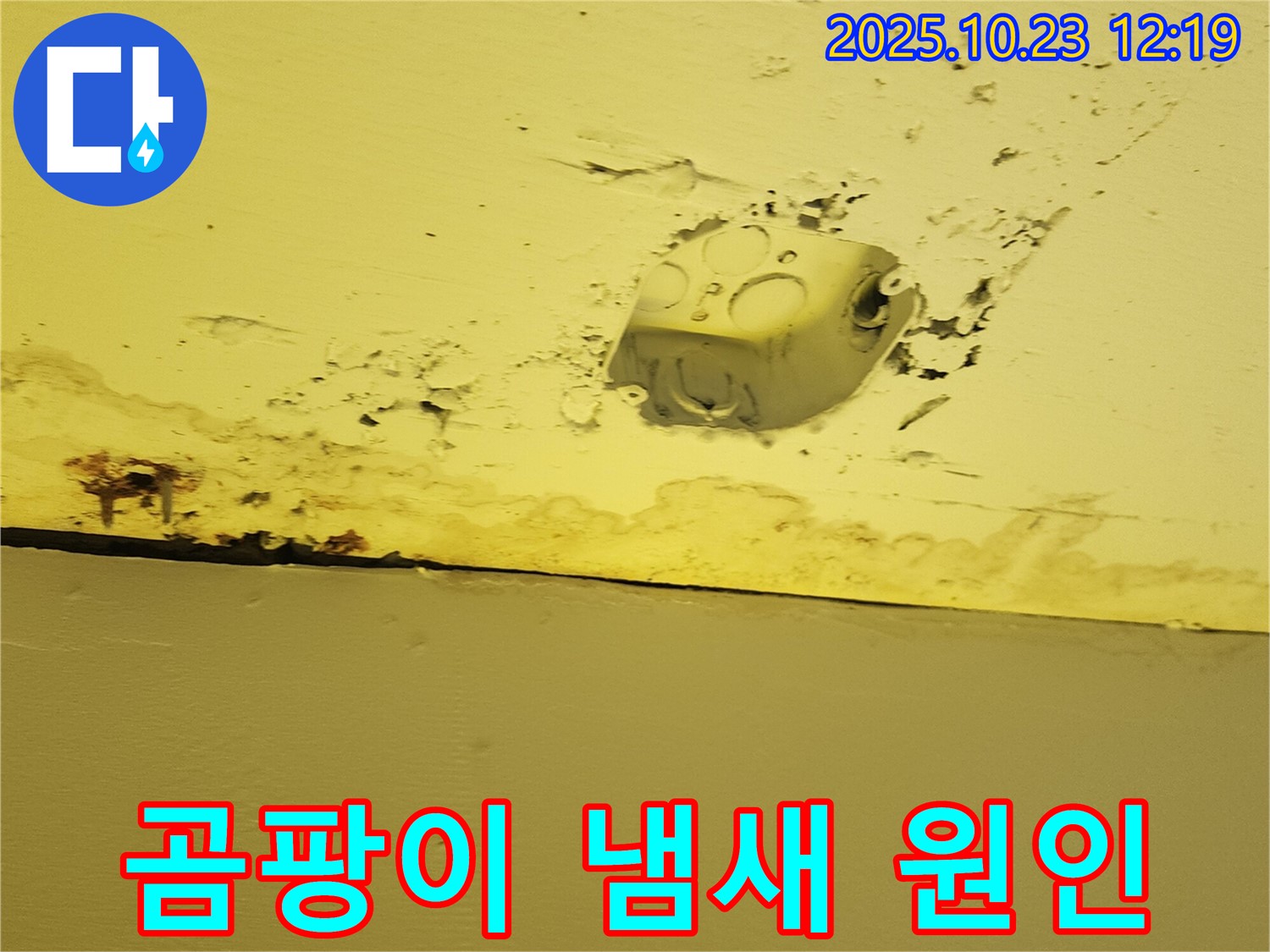 양주시 은현면 천장 누수 - 콘센트 주변 누수, 곰팡이 냄새의 주범