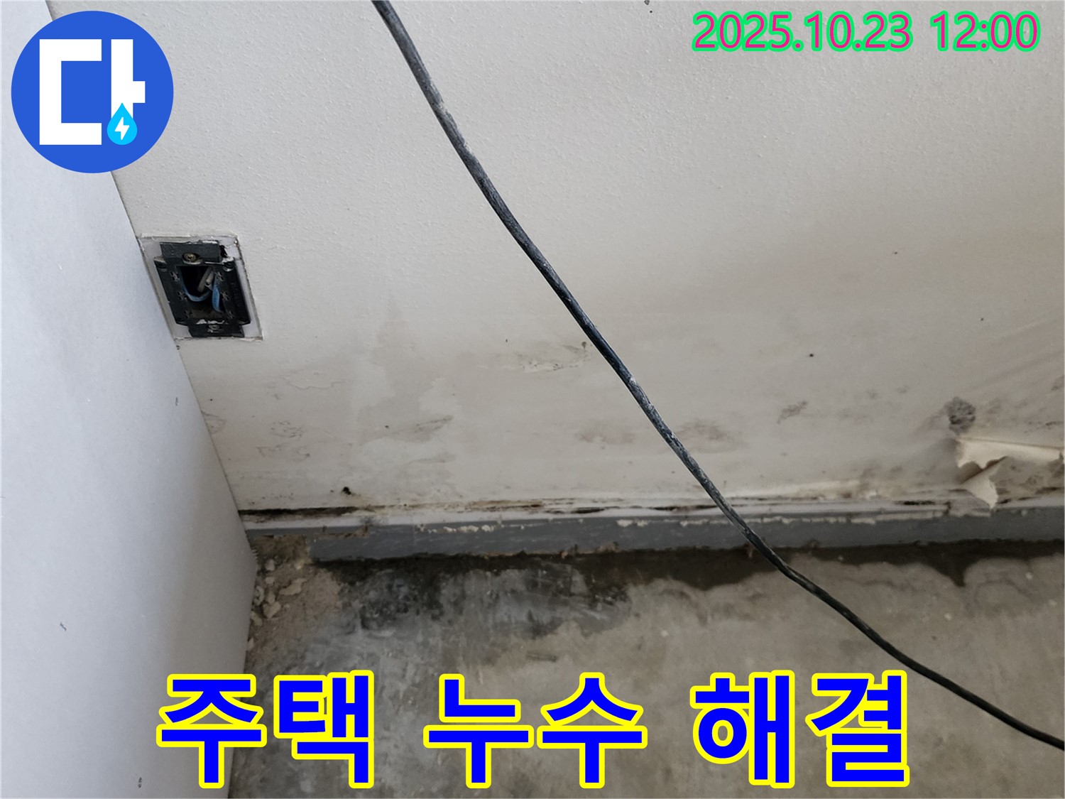 양주시 은현면 하패리 주택 누수 문제 - 완벽 진단 및 공사