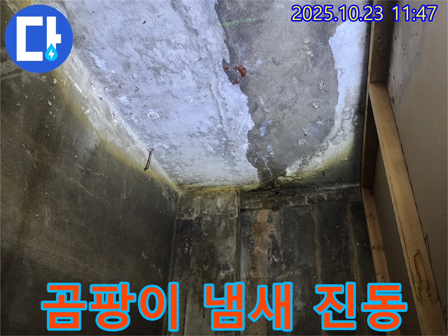 양주시 하패리 - 곰팡이 냄새 진동, 천장 누수 의심