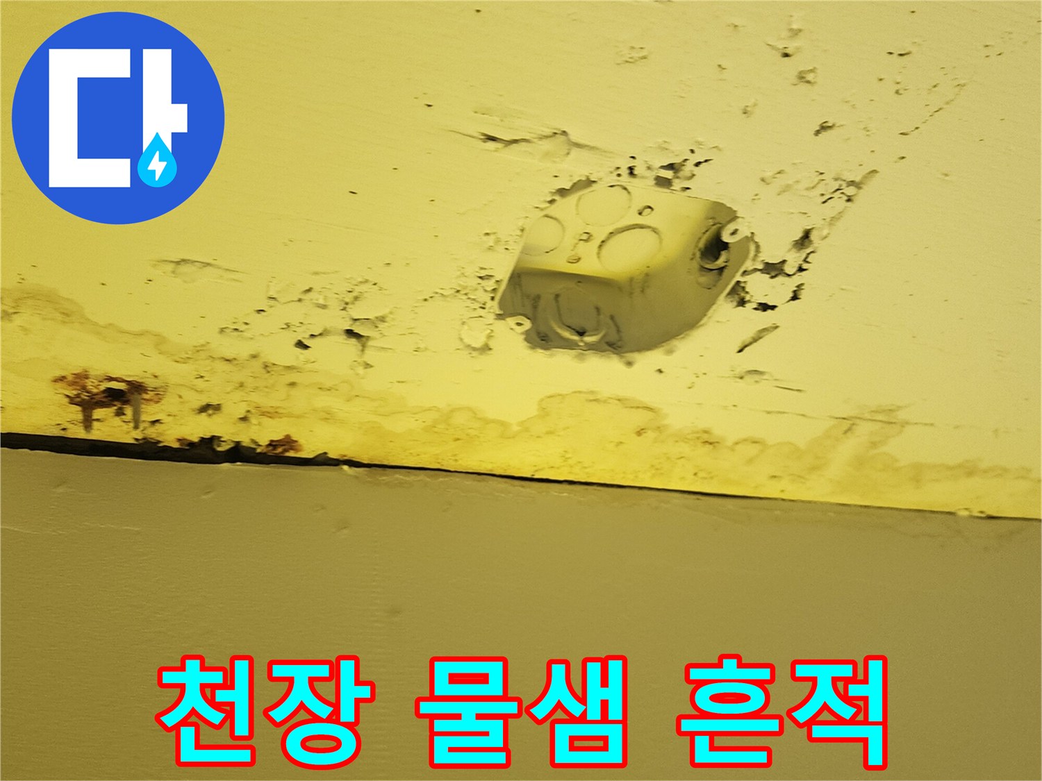 양주시-하패리-상가-천장-물샘-및-얼룩-현황