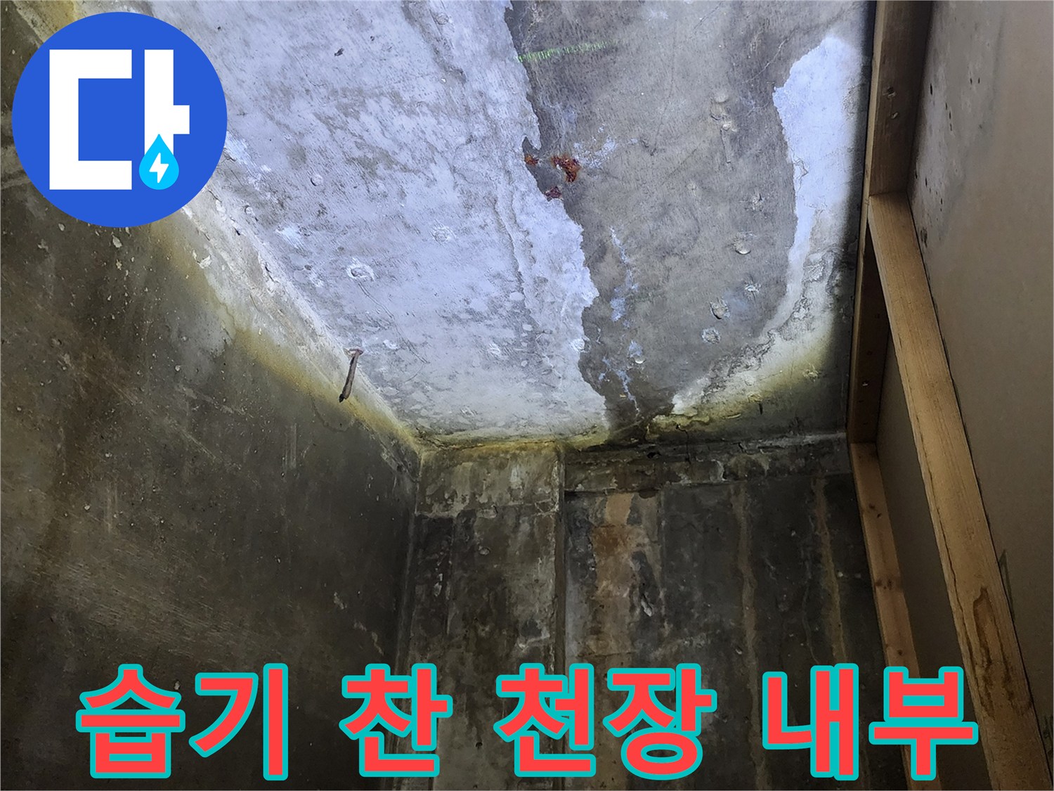 축축하게 젖은-콘크리트 천장 면의 상태