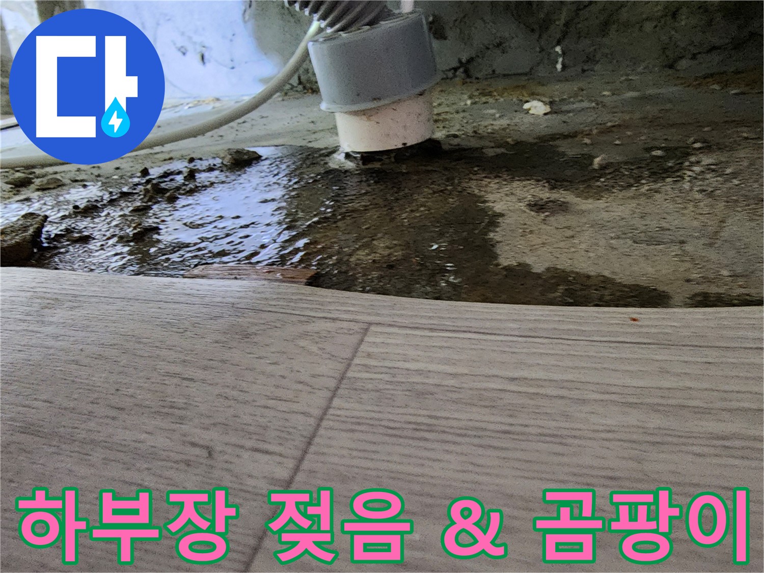 싱크대 하부장 젖음 - 곰팡이 발생 및 악취 유발