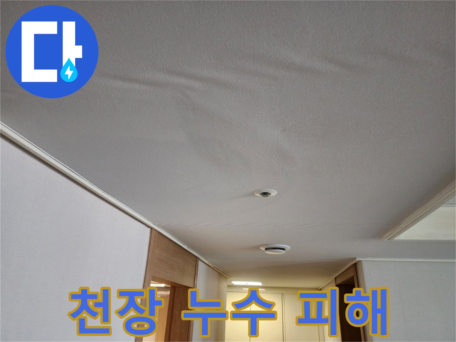 김포 사우동 아파트 천장 누수 - 누수 피해 긴급 점검