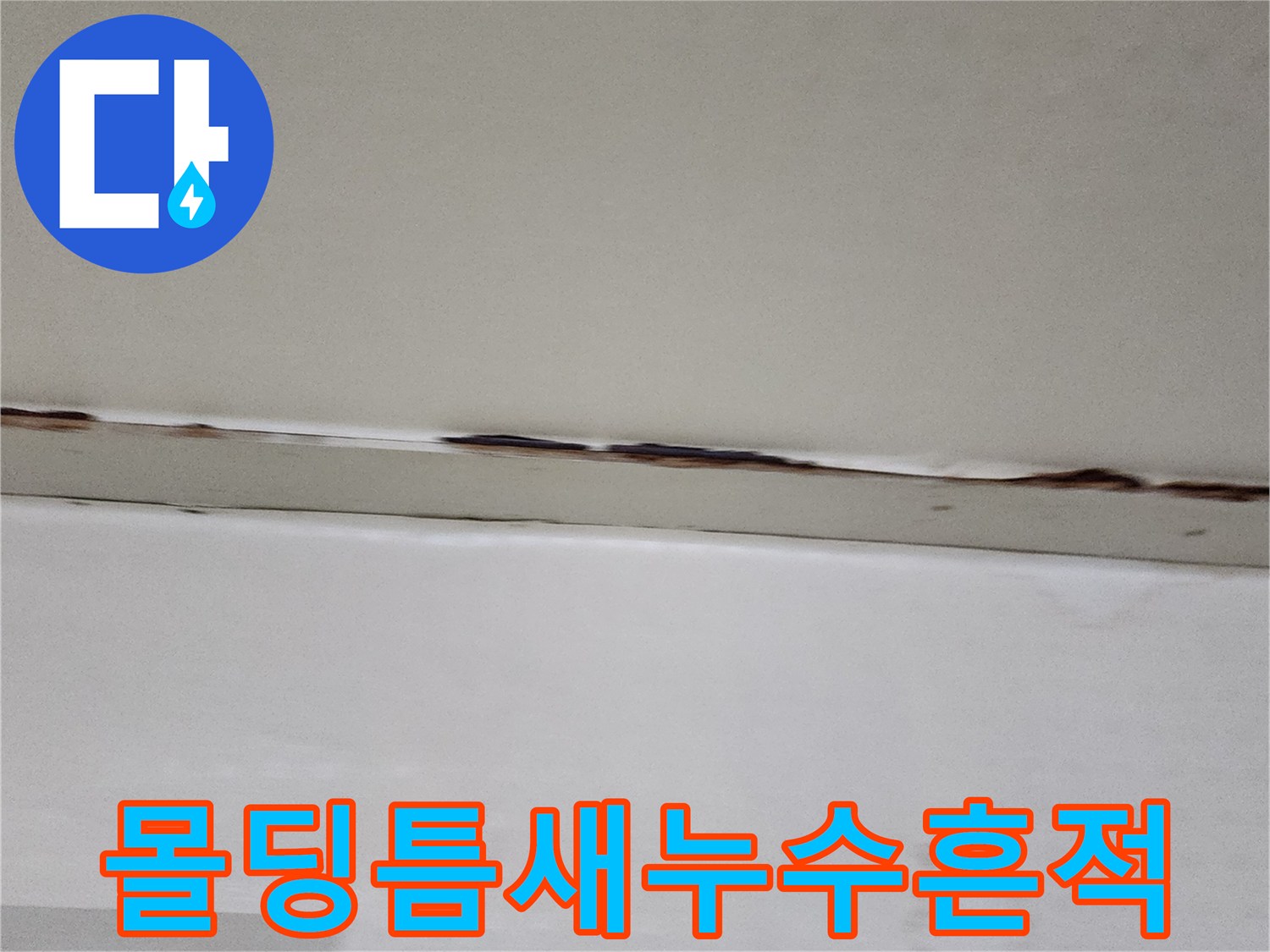 천장-몰딩-경계면에-발생한-어두운-색상의-오염물질