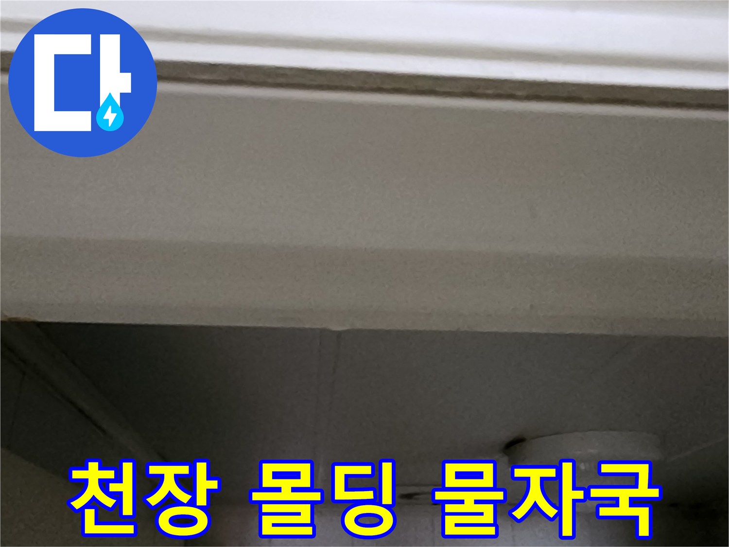흰색 천장 마감재와 몰딩 부분의 습기 젖음 현상 사진입니다.