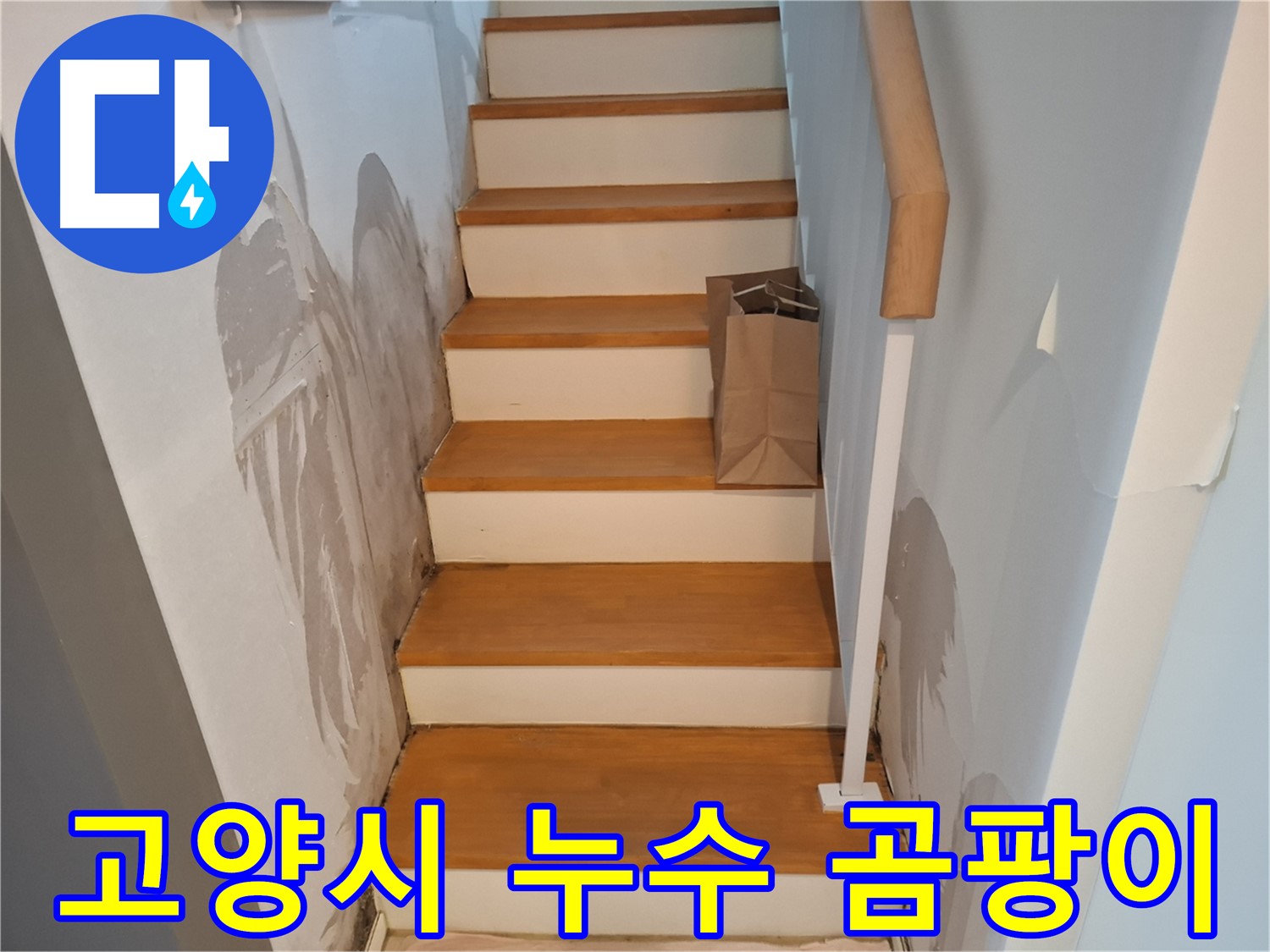 벽 곰팡이 - 건강 위협, 곰팡이 박멸