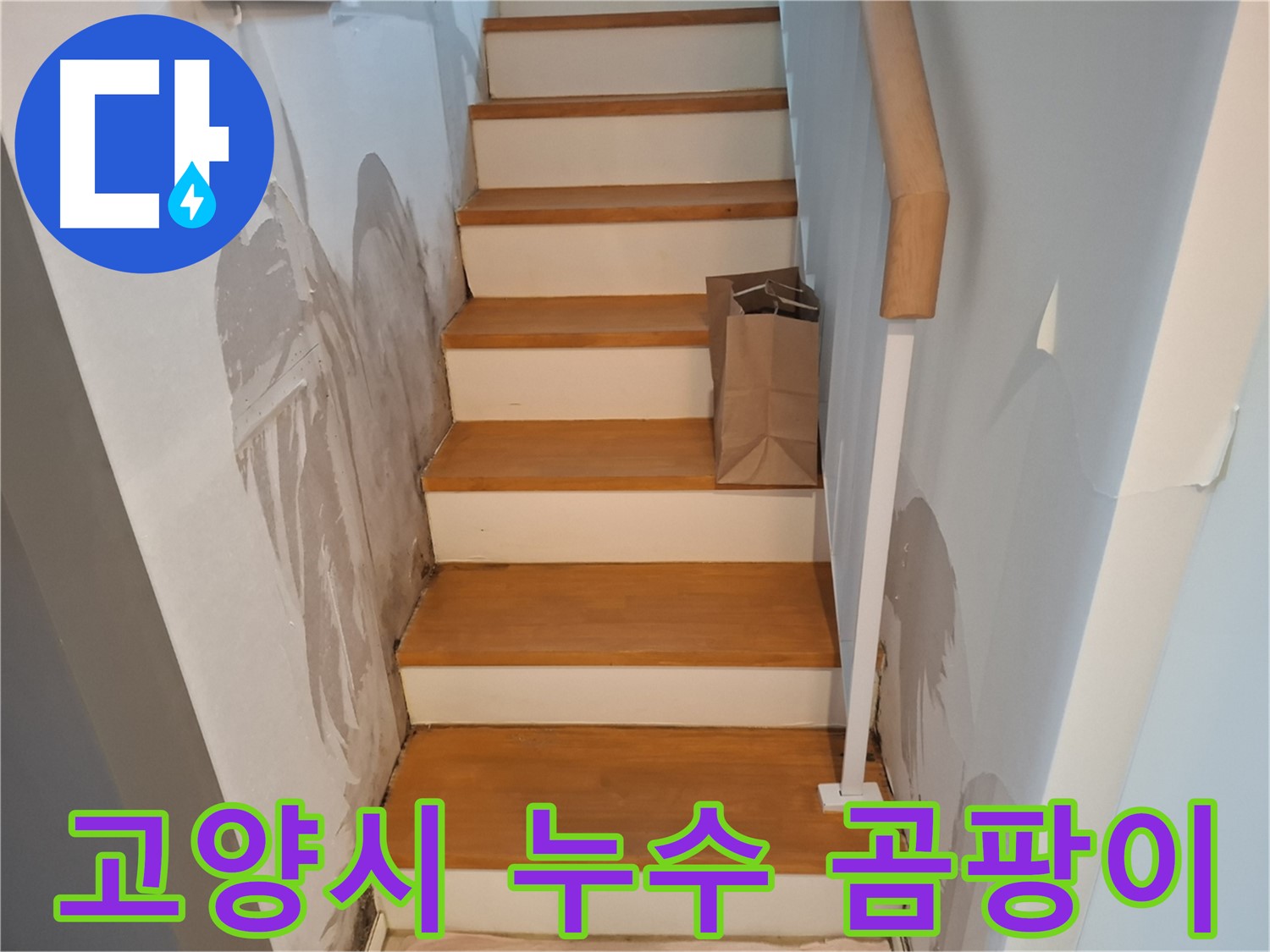 벽 곰팡이 - 건강 위협, 곰팡이 완전 박멸