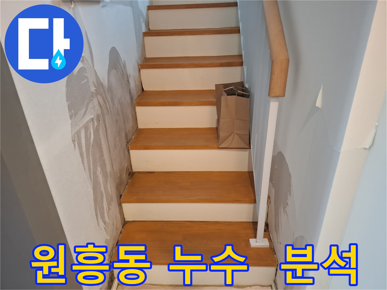 젖은 벽 - 첨단 장비로 속 시원하게 분석