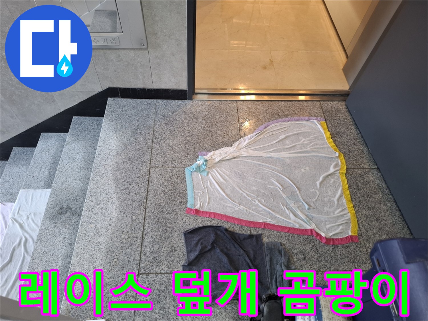 화려한 레이스 덮개와 먹색 티셔츠 - 곰팡이 취미?