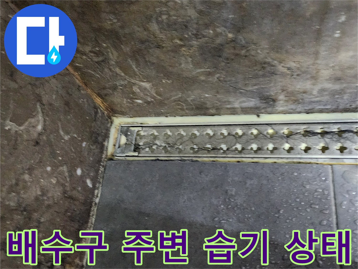 화장실 배수구 하부-타일 틈새로 인한 습기 침투