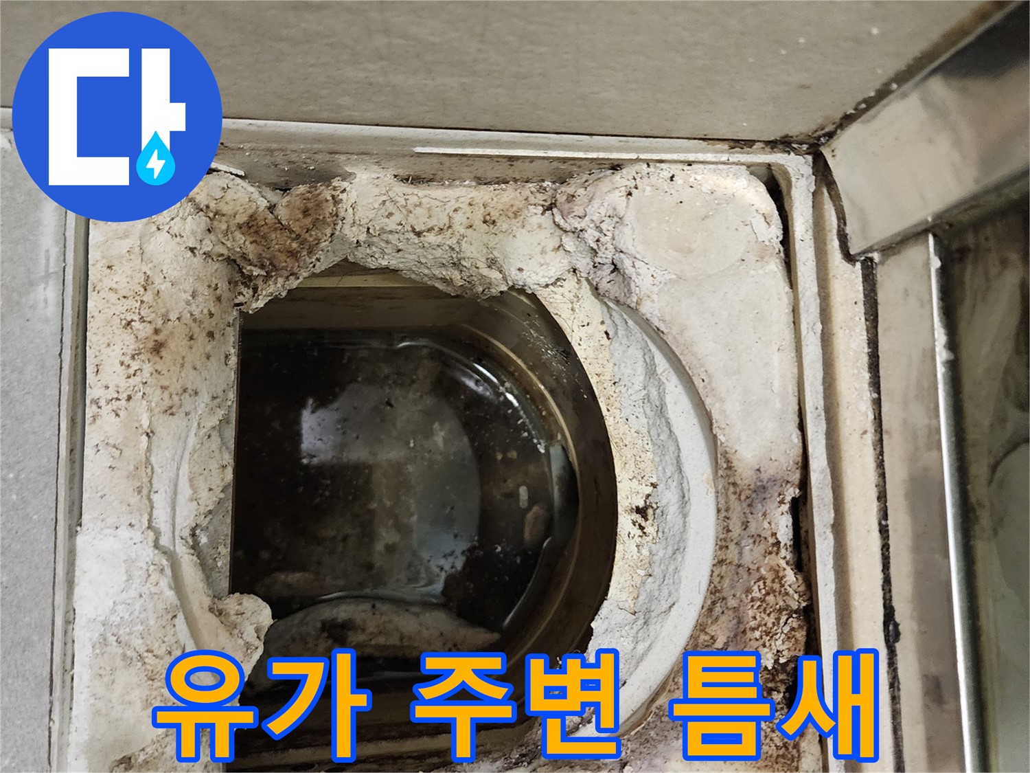 금호동2가 신금호파크자이 욕실 유가 주변 틈새 - 누수 원인