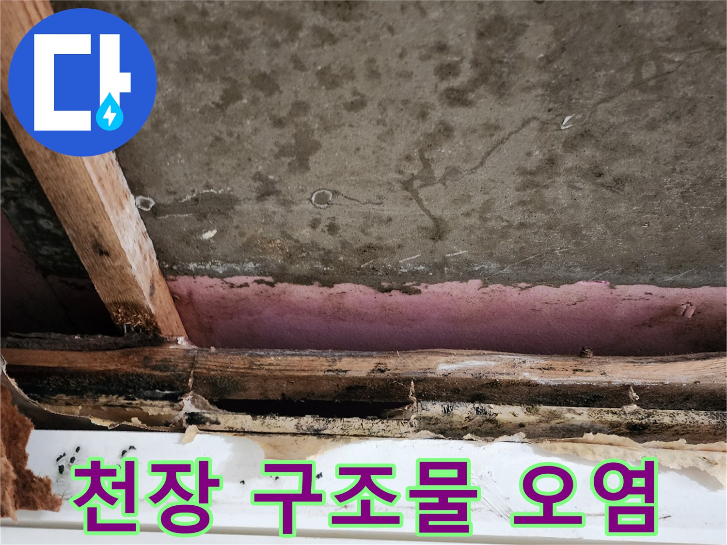 누수로 인해 썩은-천장 내부 목재와 석고보드