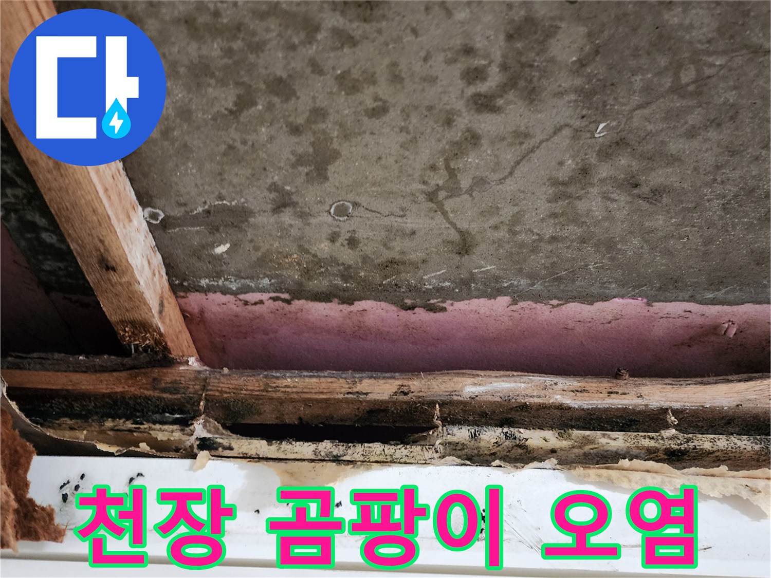 석고보드 하단-곰팡이 번식-및 습기 침투