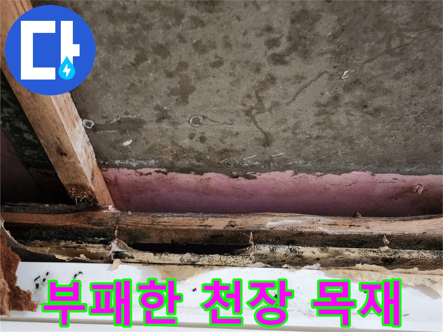 지속적인-물샘으로-부식된-천장 내부 구조물