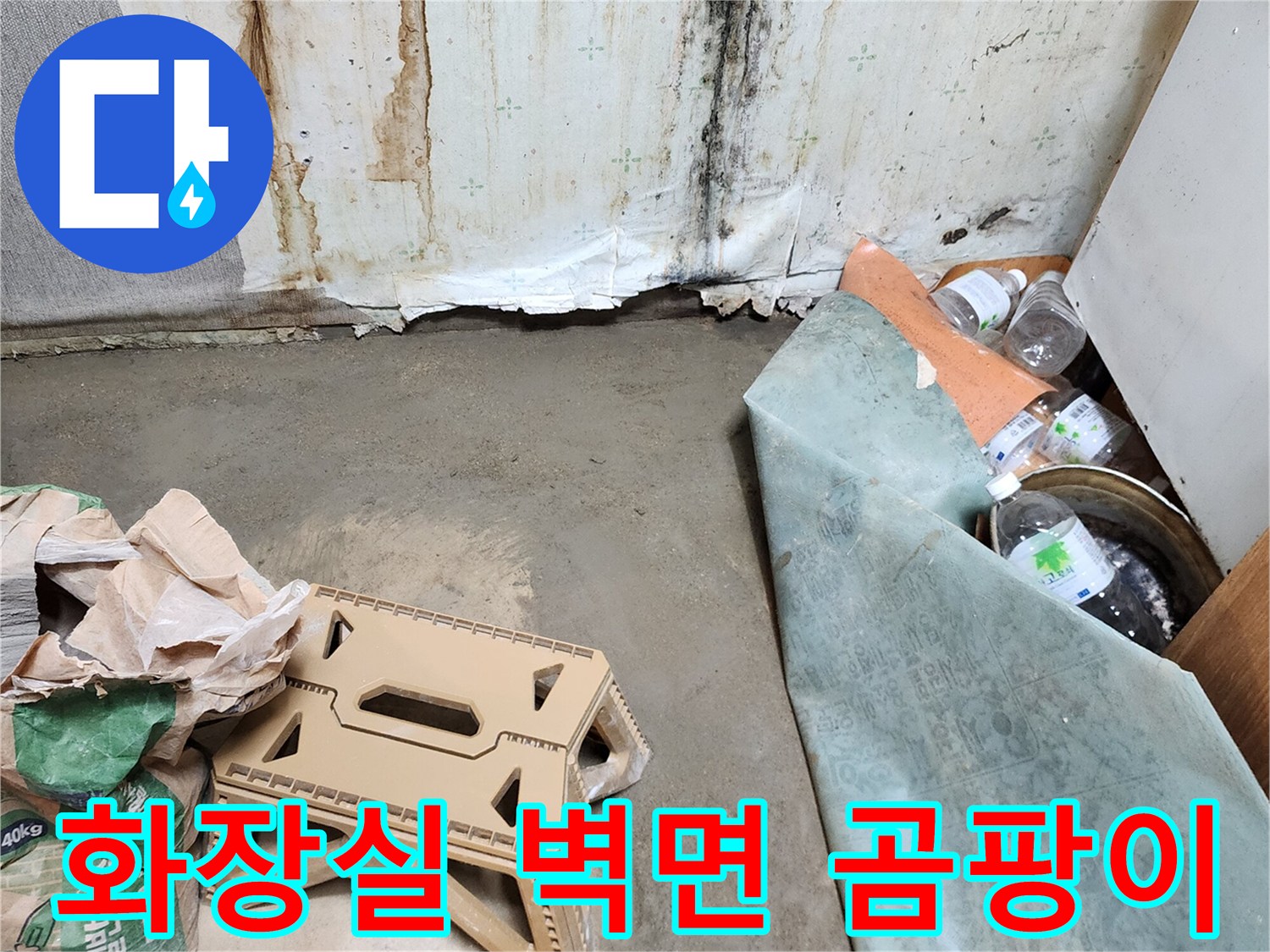 양주시 남방동 현장의-훼손된 벽지 및 곰팡이 상태