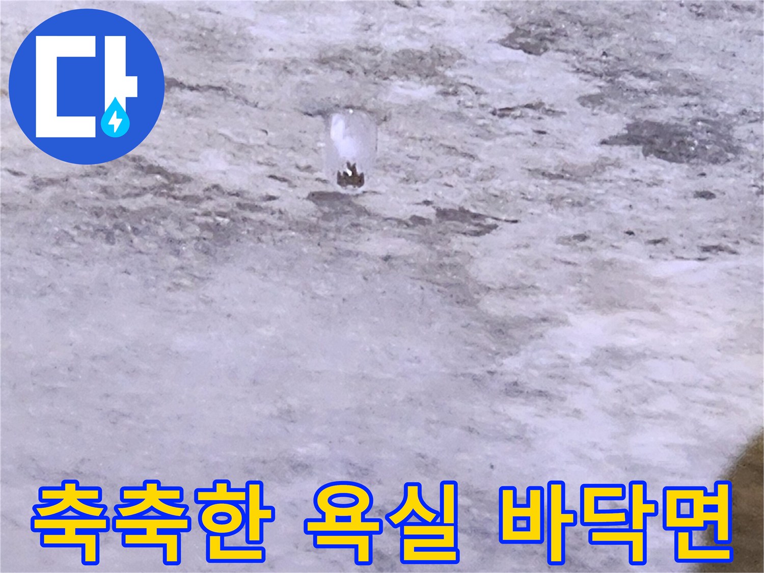 물기가 머금어진 화장실 바닥 배수구 주변 부위