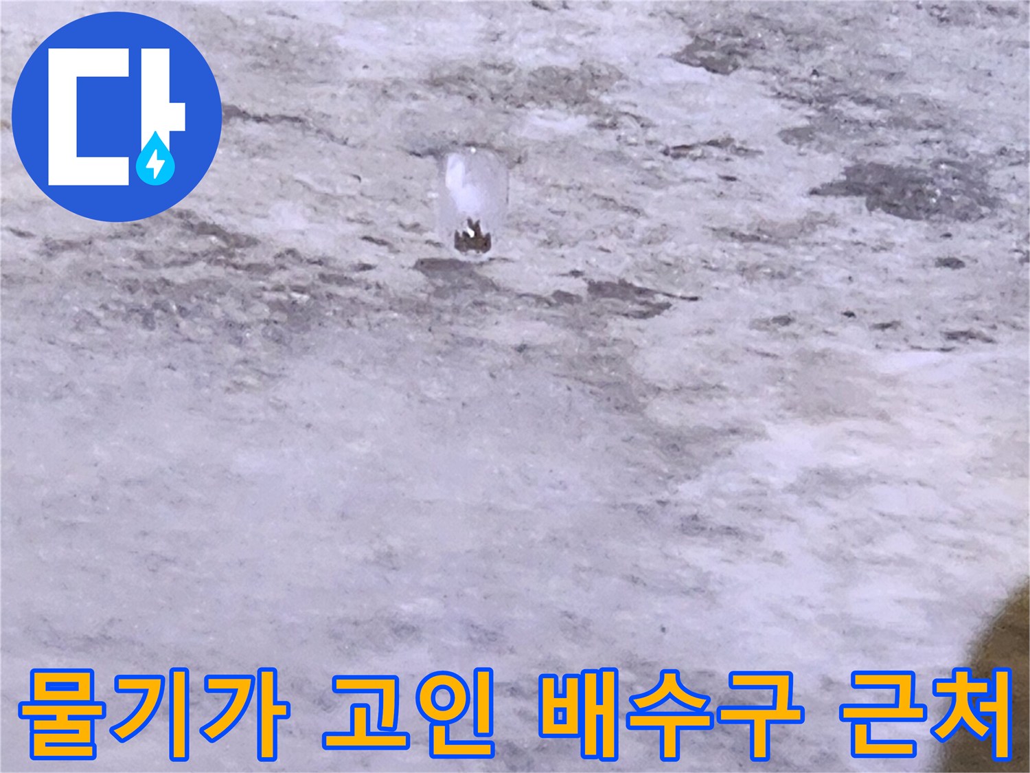배수구 주변 타일 틈새로 스며든 물기 현상