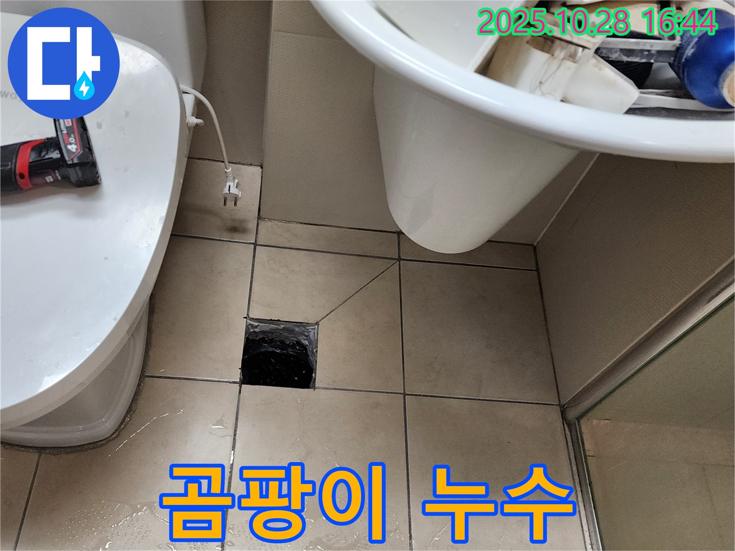 양주 유양동 화장실 하수구 주변 곰팡이 발생 및 누수 해결 과정