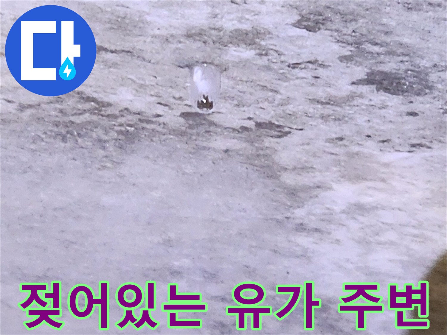 유양동 현장 상황 - 습기가 있는 배수구 부근