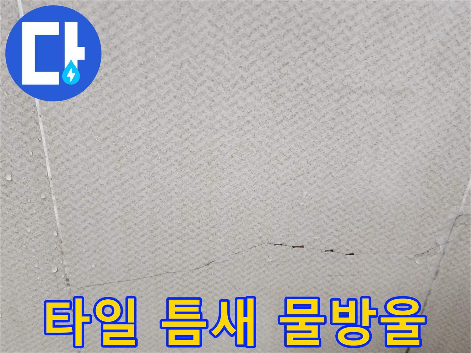화장실-천장-줄눈-사이로-맺힌-물방울-사진
