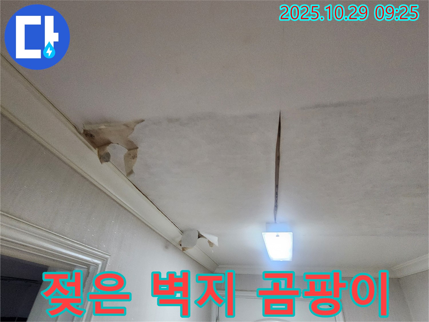 양주시 회암동 천장 누수 - 젖은 벽지와 곰팡이 발생 현황