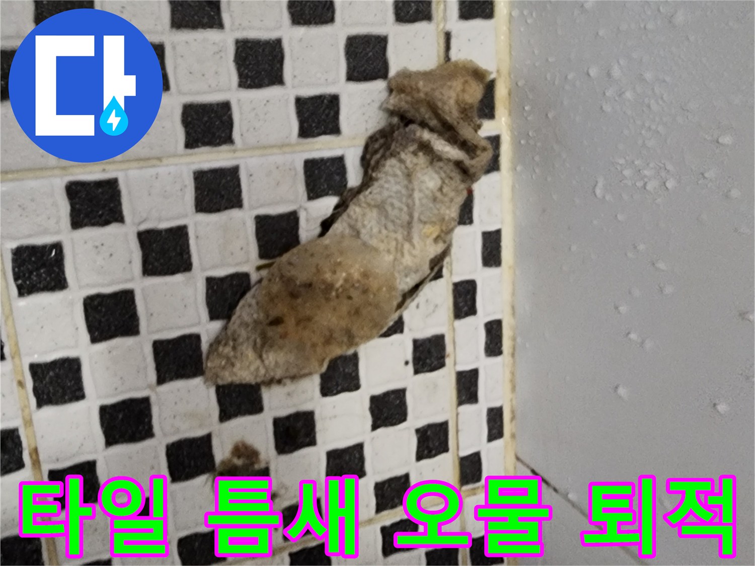 배수구 주변에 쌓여 있는 끈적한 슬러지와 이물질