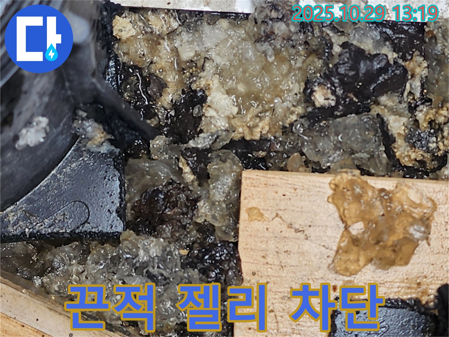 양주시 산북동 누수 - 끈적이는 젤리 누수, 완벽 차단 작전 성공!
