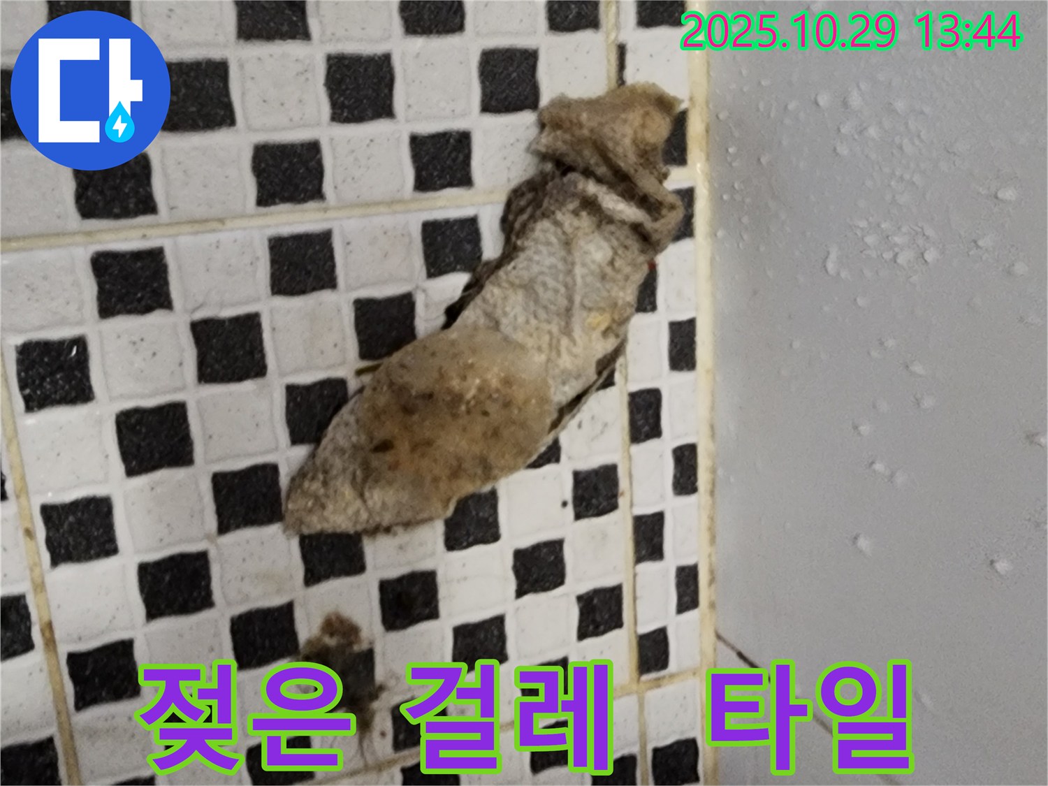양주시 산북동 누수 현장 - 젖은 걸레와 오염된 타일 틈새