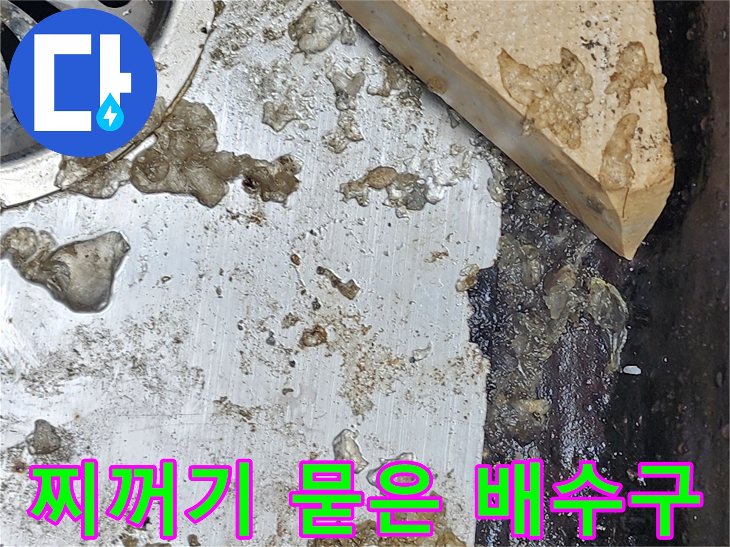 오염된-배수구-주변의-슬러지와-물기