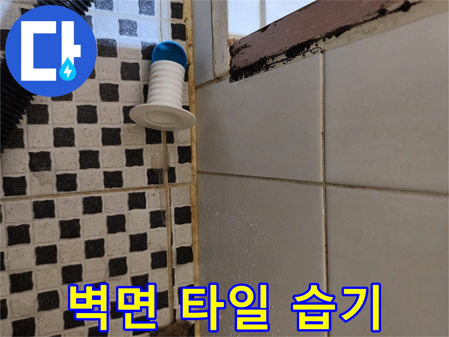 욕실 타일 아래쪽-물기가 스며든 경계 부위 관찰