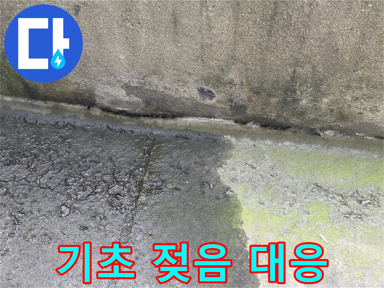 건물 기초 젖음 누수 초기 대응 사진