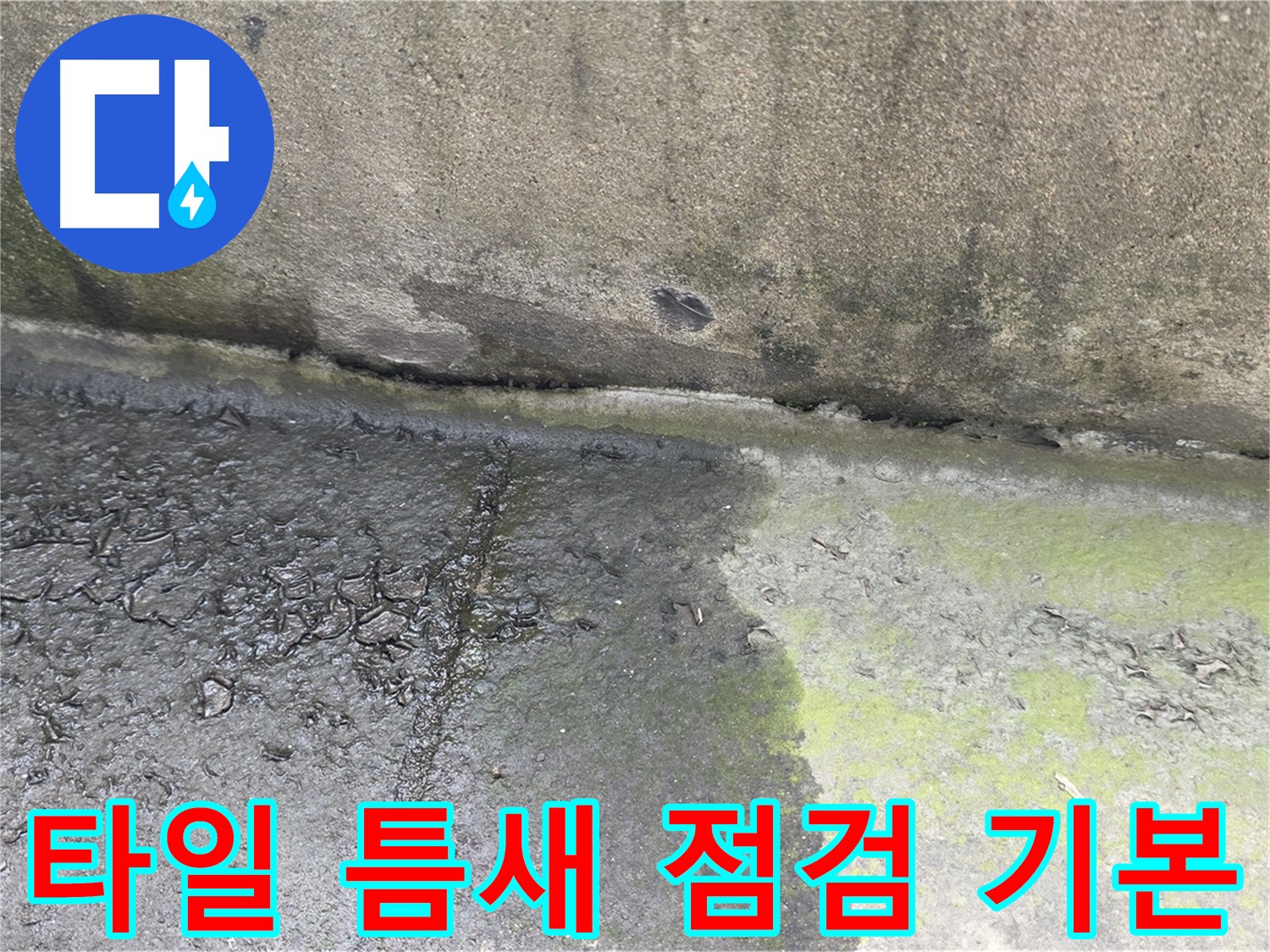 베란다 방수 공사 전 타일 틈새 점검 필수 사진