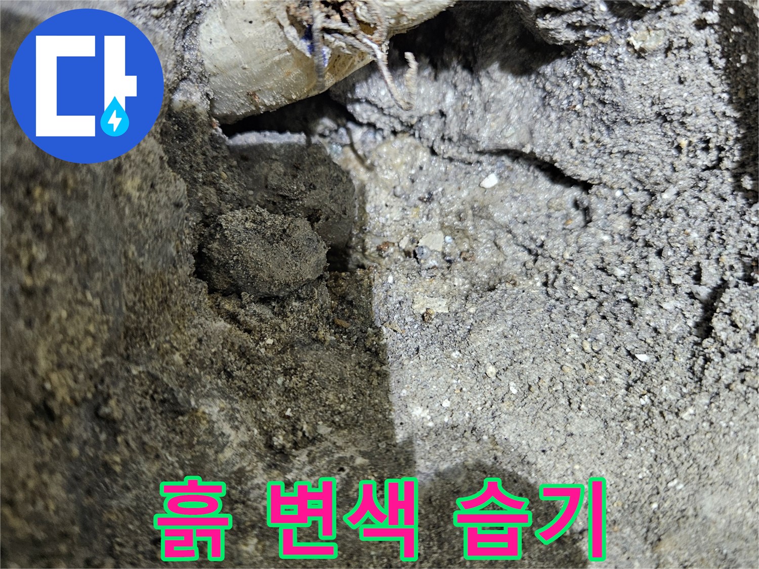 양평 용문 누수 - 배관 주변 흙 변색 - 습기 흔적