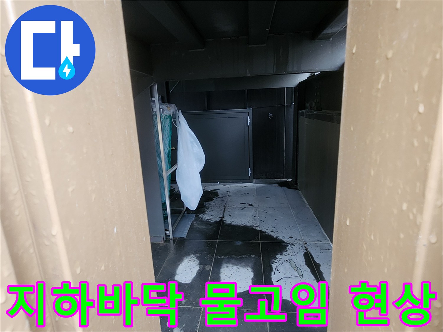 양주 회정동 지하 공간의 어두운 바닥에 물이 고여 있는 모습