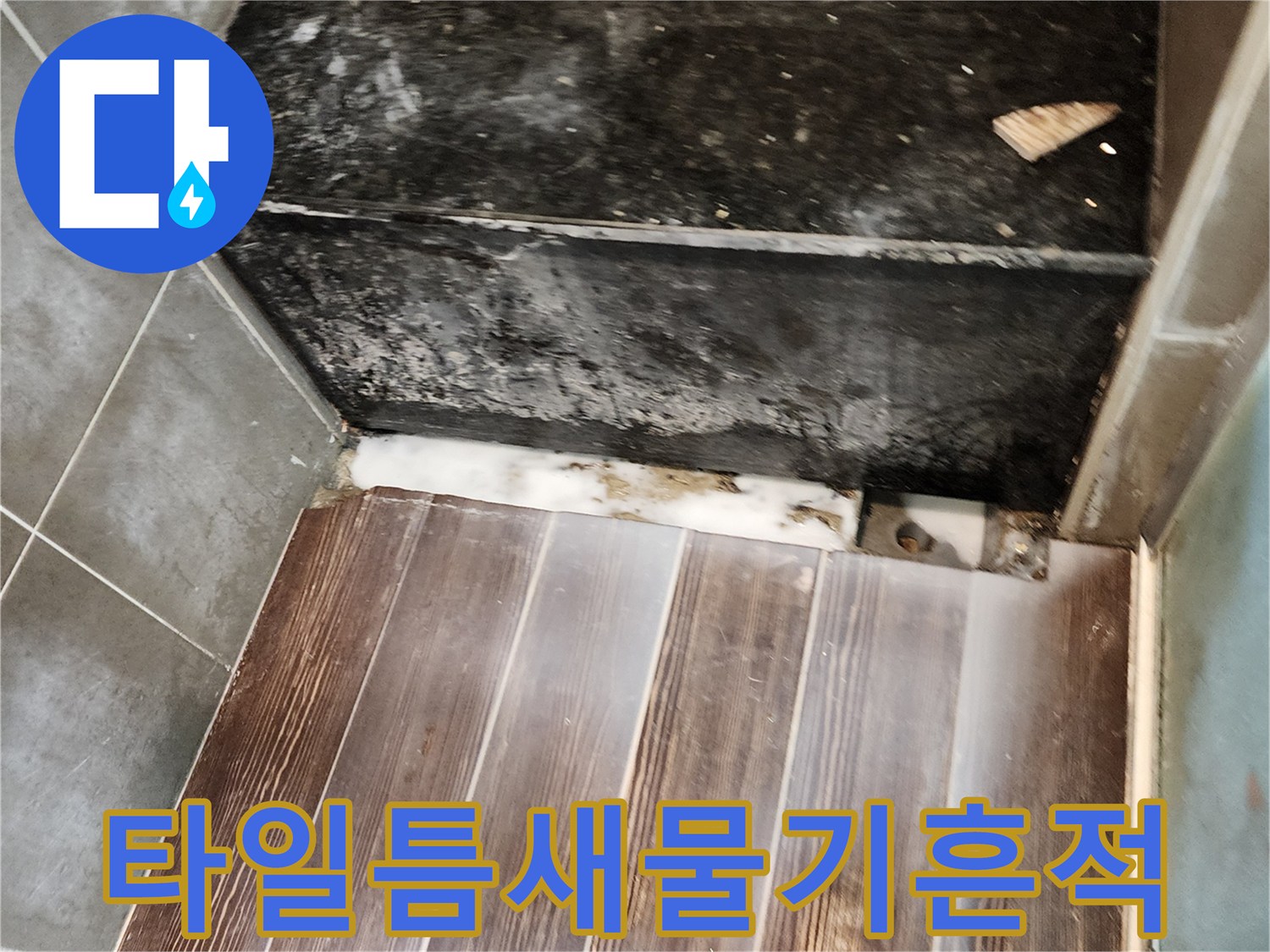 검게 변색된 바닥 마감재와 습기가 맺힌 타일 접합부 모습