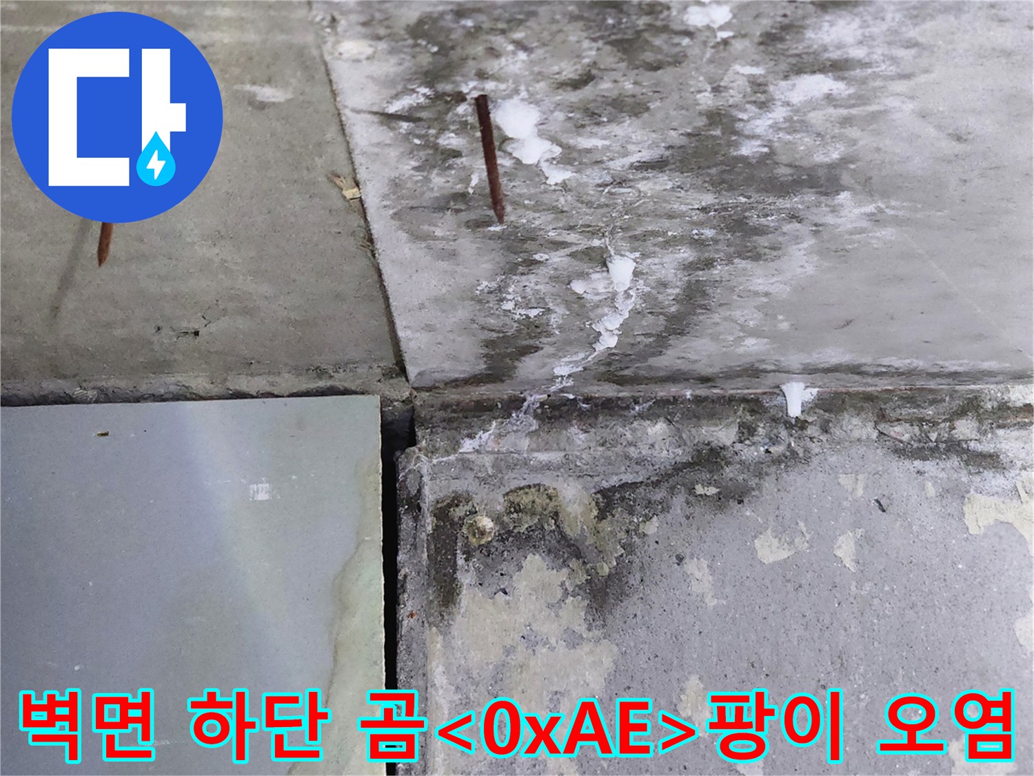 습기를 머금은-벽체 하단부의 곰팡이와 변색된 콘크리트